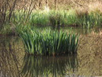 ros_inne_051
