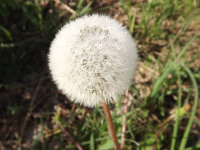 ros_inne_052