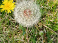 ros_inne_053
