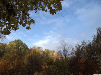 DSCF6199
