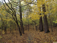 DSCF6207