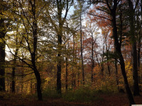 DSCF6210