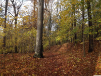 DSCF6213