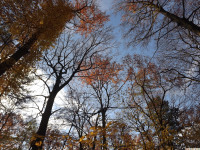 DSCF6217