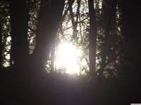 DSCF6245
