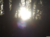 DSCF6249