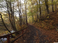 DSCF6254