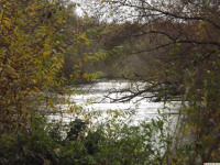 DSCF6276