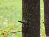 DSCF6319