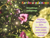 kartka_r082