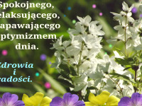 kartka_r084.jpg