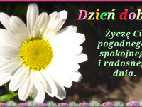 kartka_r085.jpg