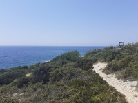 krajobraz_249