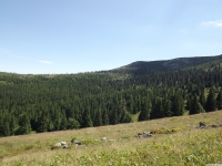 krajobraz_069