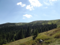 krajobraz_075