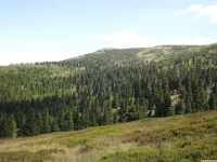 krajobraz_077
