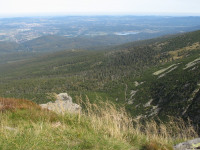 krajobraz_146