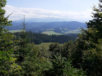 krajobraz_220