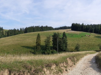krajobraz_222