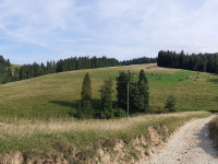 krajobraz_223