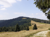 krajobraz_227