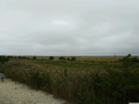 krajobraz_229