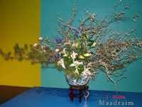 kwiat_022
