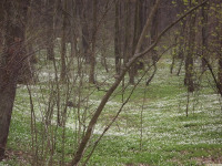 DSCF2847