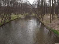 DSCF2863