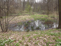 DSCF2871