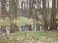 DSCF2876