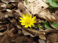 DSCF2883