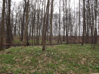 DSCF2884