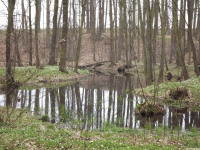 DSCF2888