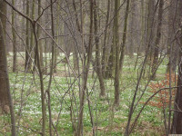 DSCF2889