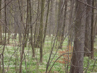 DSCF2890