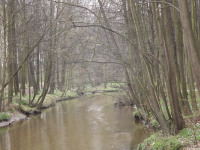 DSCF2893