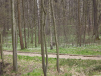 DSCF2894