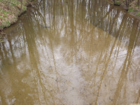 DSCF2896