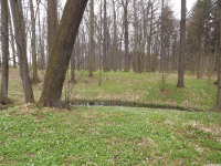 DSCF2916