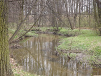 DSCF2921