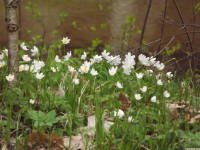 DSCF2923