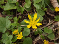 DSCF2924