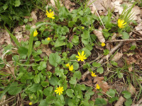 DSCF2926