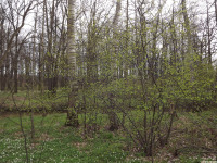 DSCF2934