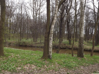 DSCF2936