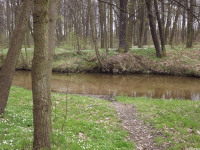 DSCF2940