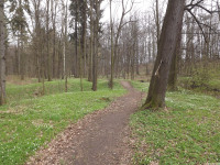 DSCF2943