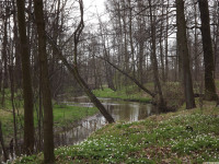 DSCF2946