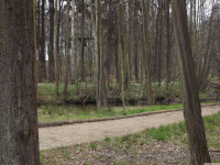 DSCF2951